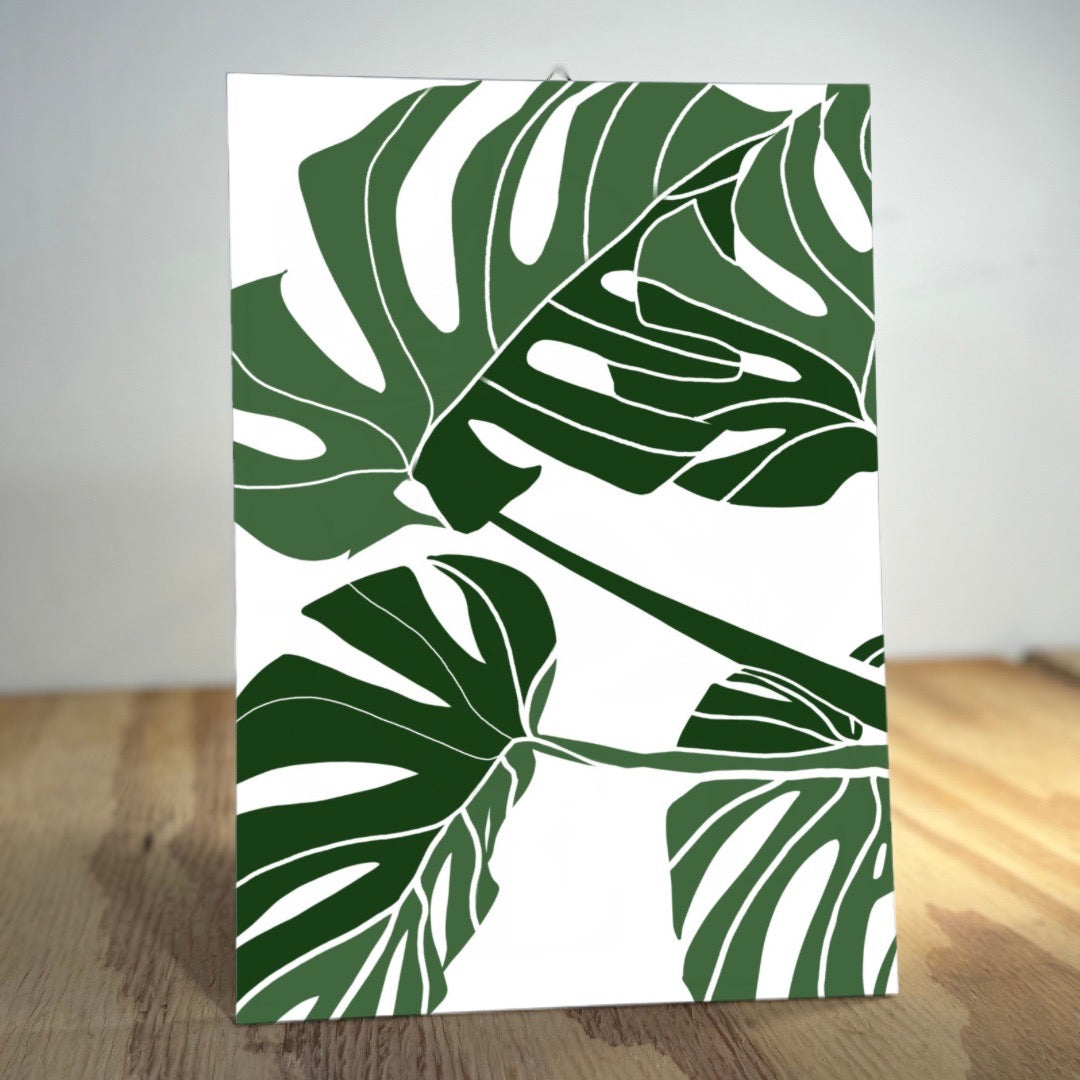 Monstera